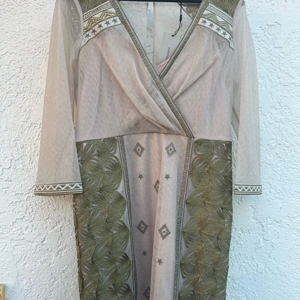 Elegant Sheer Embroidered Dress